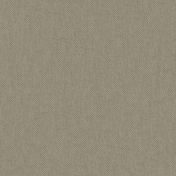 Chinchilla